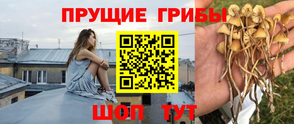 Галлюциногенные грибы ЛСД Лобня